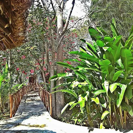 San Miguel