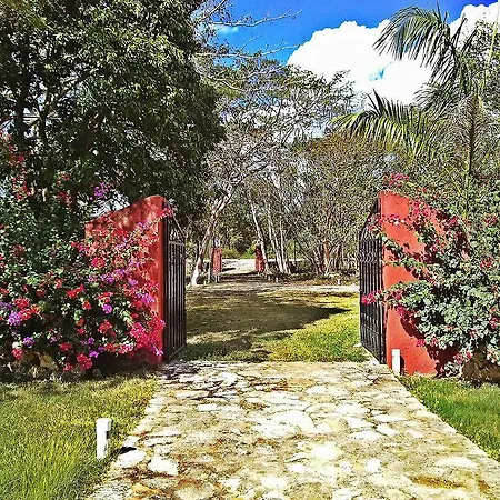 San Miguel 2* El Rompido